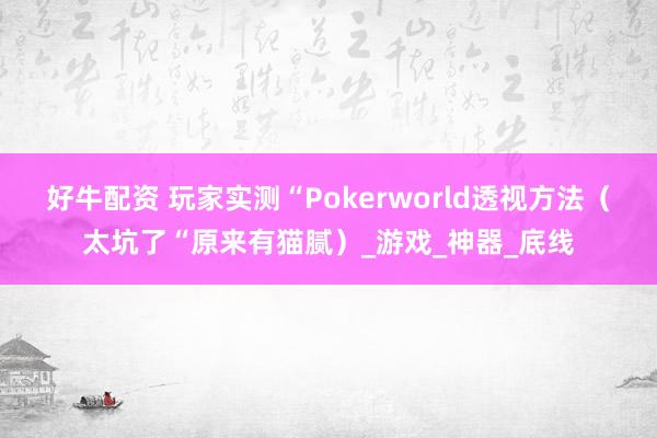 好牛配资 玩家实测“Pokerworld透视方法（太坑了“原来有猫腻）_游戏_神器_底线