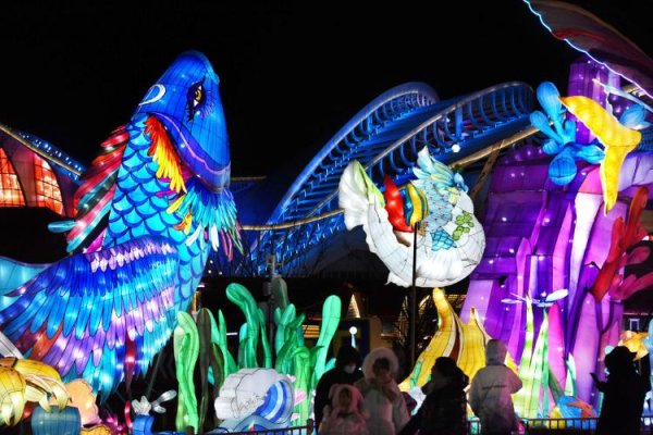 中国星配资 青岛：赏新春灯会 游奇幻“海洋”