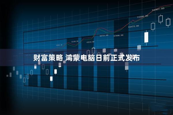 财富策略 鸿蒙电脑日前正式发布