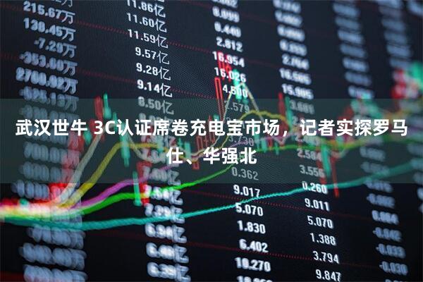 武汉世牛 3C认证席卷充电宝市场，记者实探罗马仕、华强北