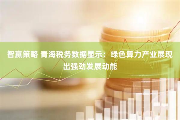 智赢策略 青海税务数据显示：绿色算力产业展现出强劲发展动能