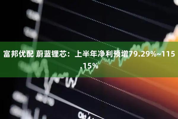 富邦优配 蔚蓝锂芯：上半年净利预增79.29%~115.15%