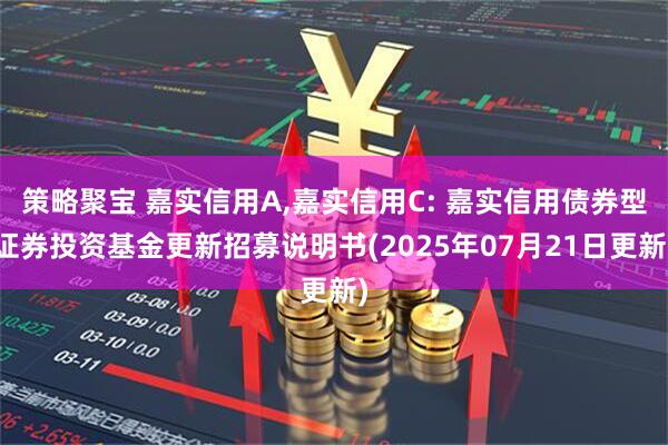 策略聚宝 嘉实信用A,嘉实信用C: 嘉实信用债券型证券投资基金更新招募说明书(2025年07月21日更新)