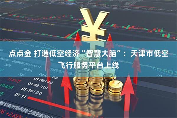 点点金 打造低空经济“智慧大脑”：天津市低空飞行服务平台上线
