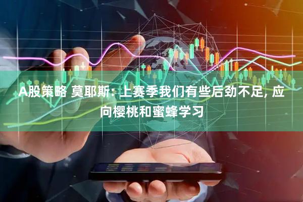 A股策略 莫耶斯: 上赛季我们有些后劲不足, 应向樱桃和蜜蜂学习